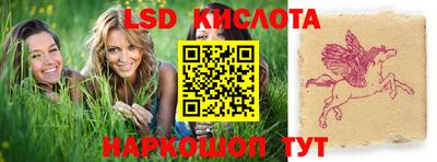 индика Лесосибирск