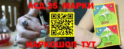 индика Лесосибирск