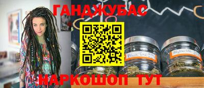 индика Лесосибирск
