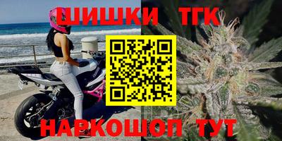 индика Лесосибирск