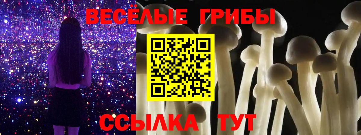Псилоцибиновые грибы мицелий Электросталь
