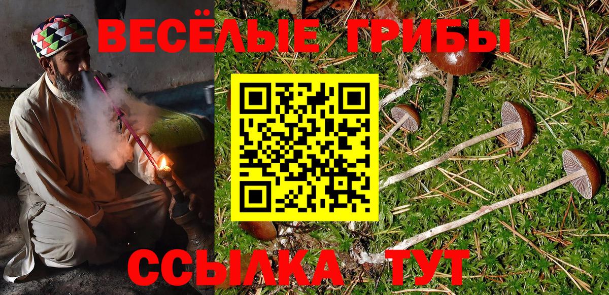 Электросталь  Галлюциногенные грибы Psilocybine cubensis  сколько стоит  Вход с VPN 